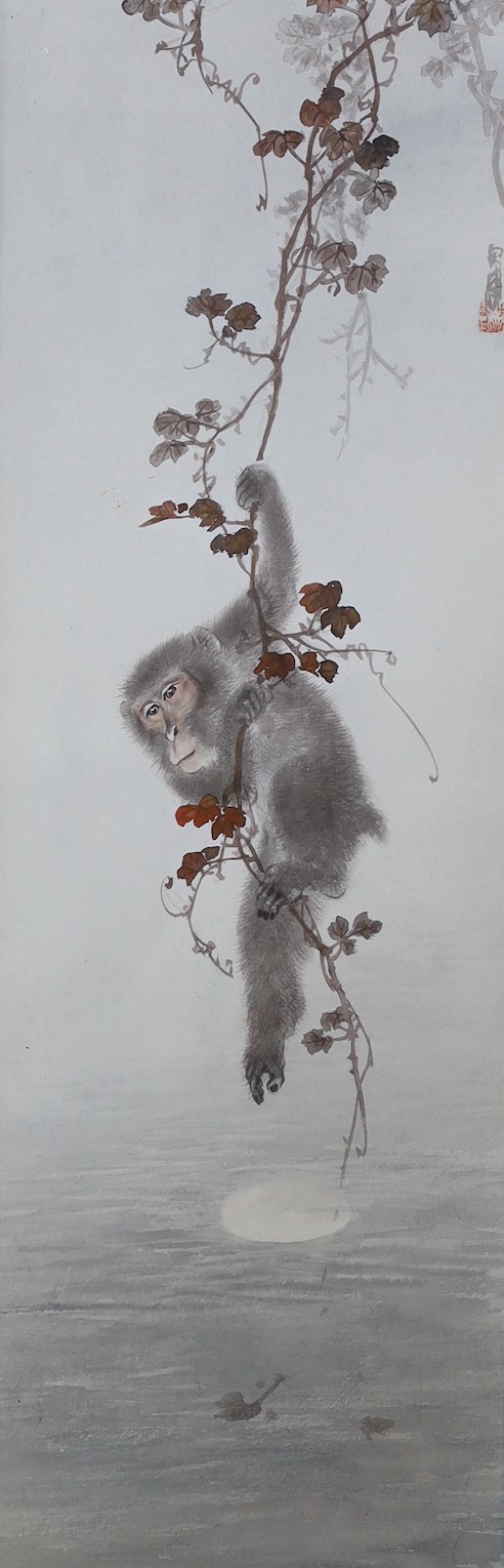Japanese School, watercolour on paper, monkey hanging on a vine, signed and sealed, 48 x 16cm